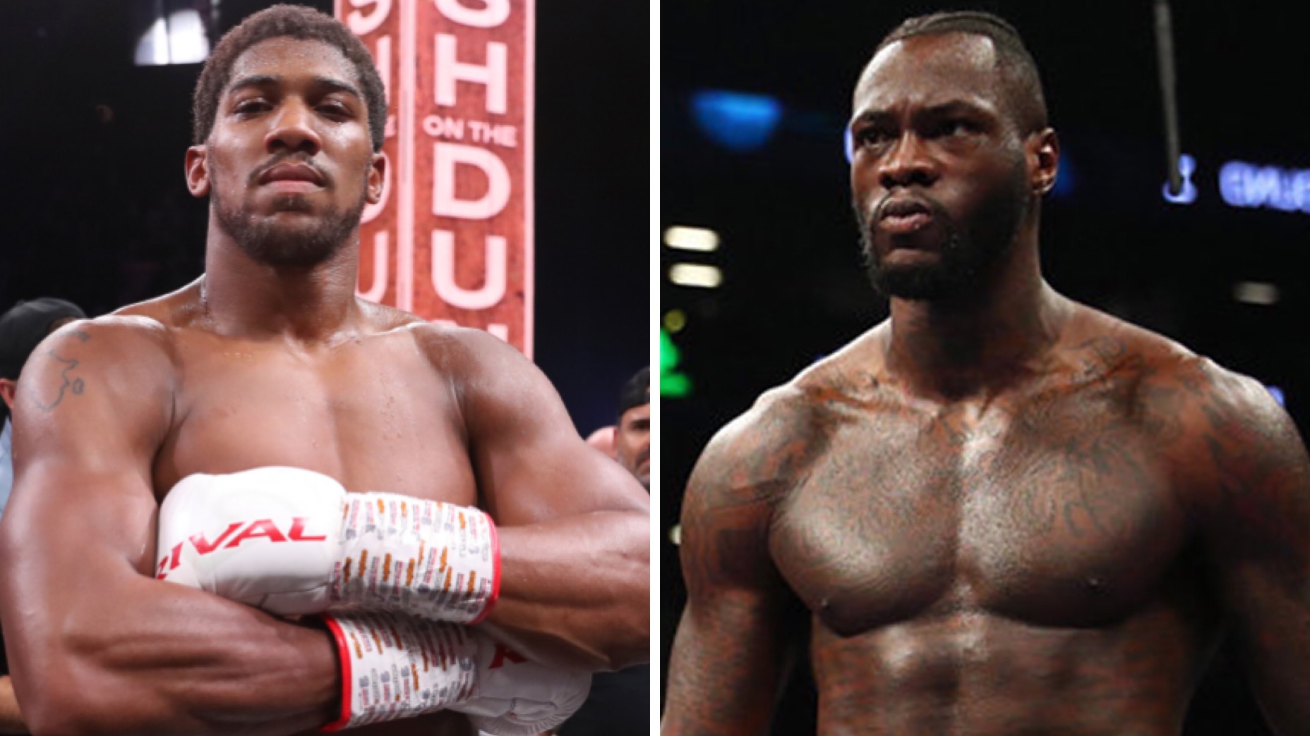 Joshua: Wilder told the world that he ducked me